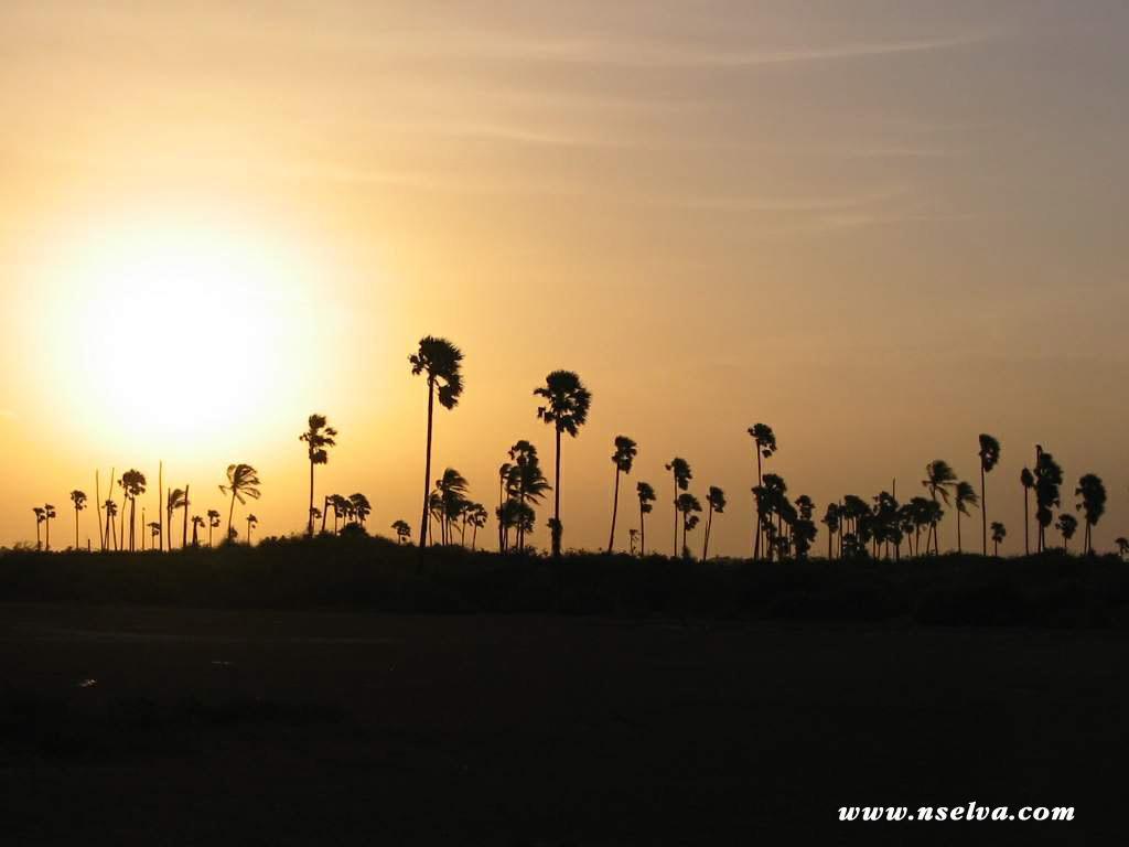 Sai Holiday Inn Jaffna Eksteriør billede