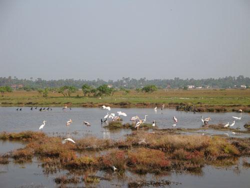 Sai Holiday Inn Jaffna Eksteriør billede